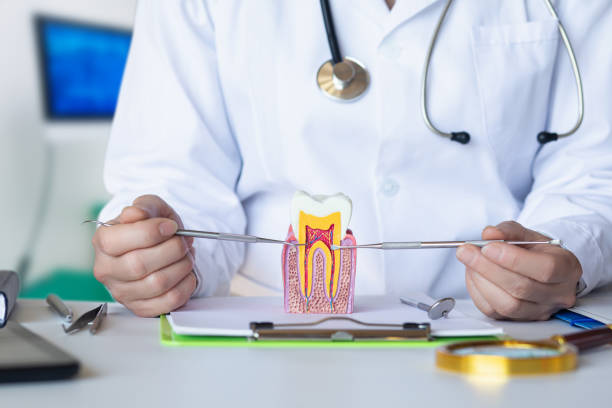 Best Emergency Gum Treatment in St Pauls, NC